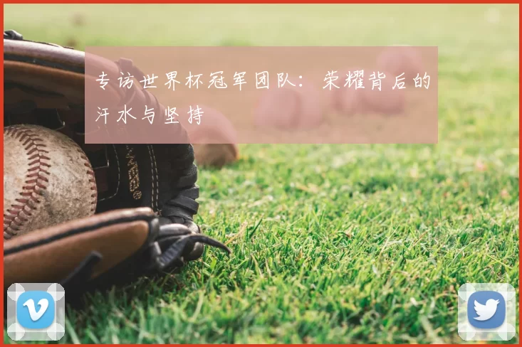 专访世界杯冠军团队:荣耀背后的汗水与坚持