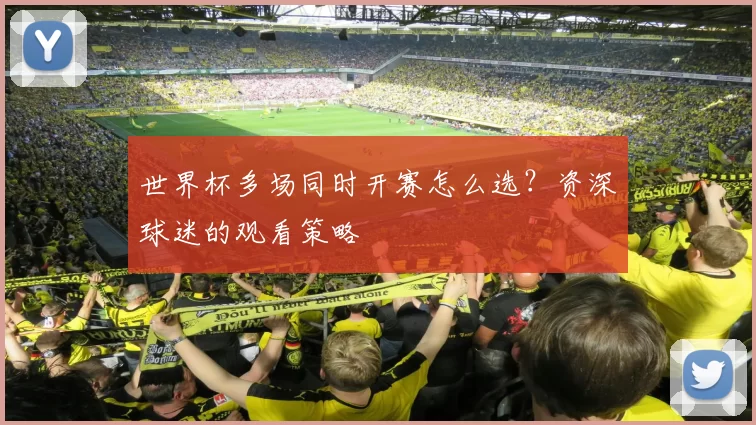 世界杯多场同时开赛怎么选？资深球迷的观看策略
