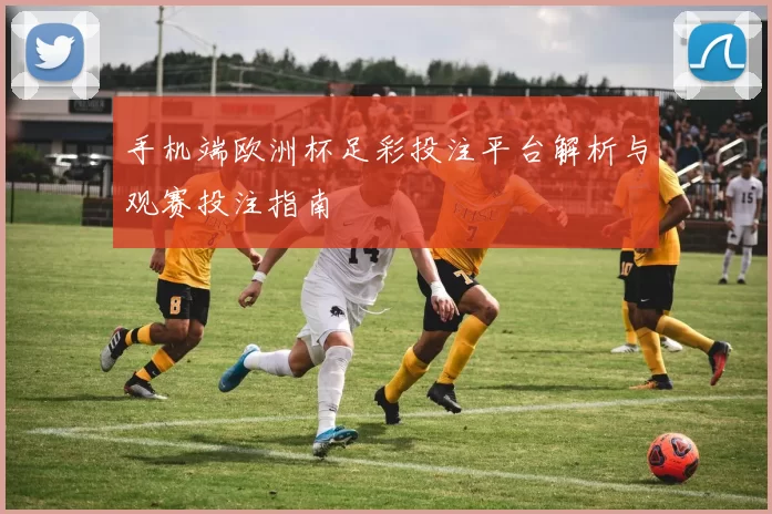 手机端欧洲杯足彩投注平台解析与观赛投注指南