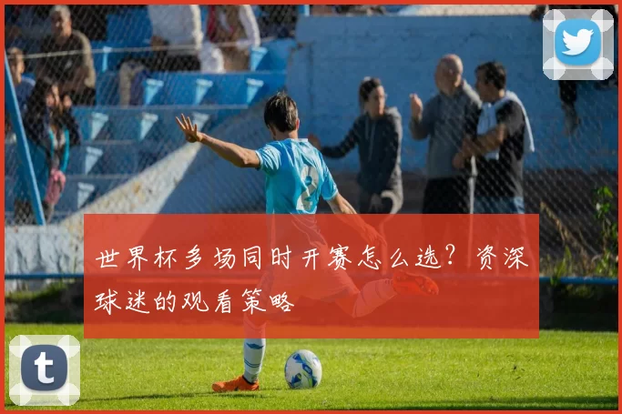 世界杯多场同时开赛怎么选?资深球迷的观看策略