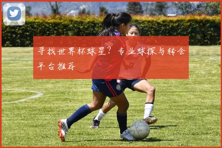 寻找世界杯球星?专业球探与转会平台推荐