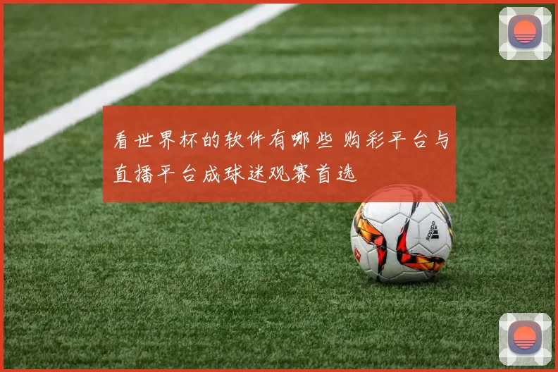 看世界杯的软件有哪些 购彩平台与直播平台成球迷观赛首选