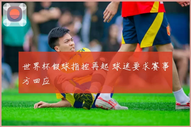世界杯假球指控再起 球迷要求赛事方回应