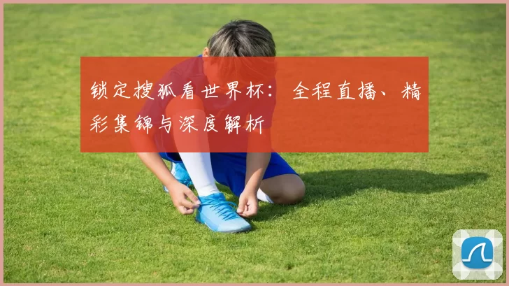 锁定搜狐看世界杯：全程直播、精彩集锦与深度解析