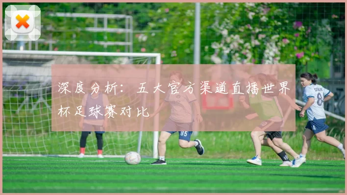 深度分析:五大官方渠道直播世界杯足球赛对比