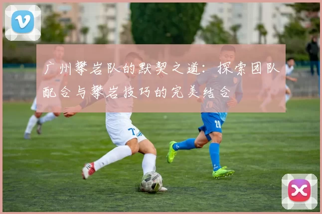 广州攀岩队的默契之道:探索团队配合与攀岩技巧的完美结合