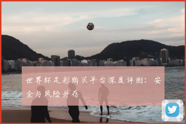 世界杯足彩购买平台深度评测:安全与风险并存
