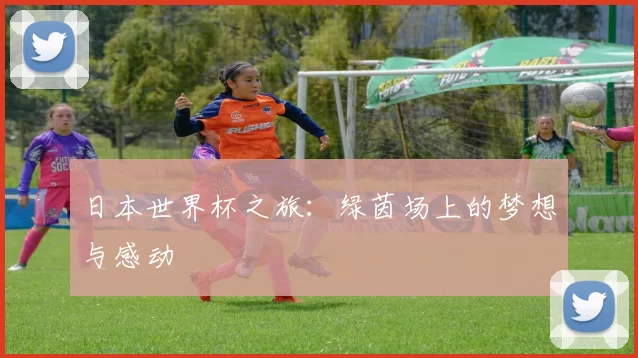 日本世界杯之旅：绿茵场上的梦想与感动