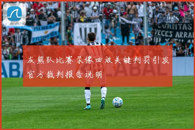 灰熊队比赛录像回放关键判罚引发官方裁判报告说明