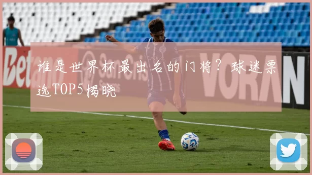 谁是世界杯最出名的门将?球迷票选TOP5揭晓