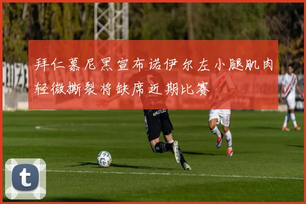 拜仁慕尼黑宣布诺伊尔左小腿肌肉轻微撕裂将缺席近期比赛