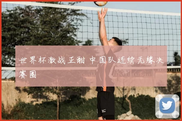世界杯激战正酣 中国队连续无缘决赛圈