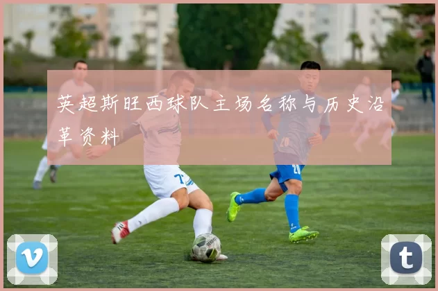 英超斯旺西球队主场名称与历史沿革资料