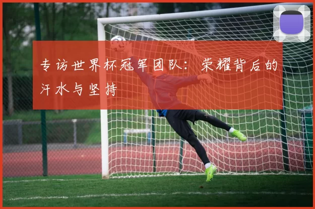 专访世界杯冠军团队:荣耀背后的汗水与坚持