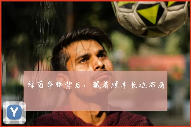 绿茵争锋背后,藏着顺丰长远布局