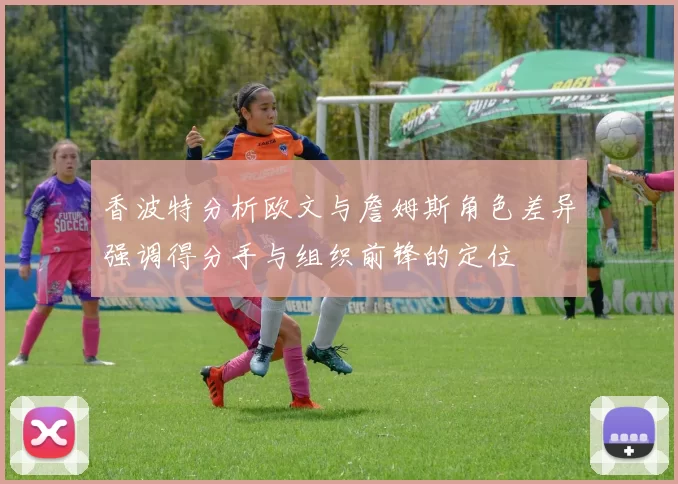 香波特分析欧文与詹姆斯角色差异强调得分手与组织前锋的定位